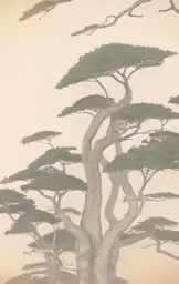 the bonsai tree is being shown in white and grey