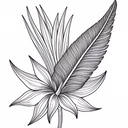 the leaf is in black and white on a white background,a leaf in line drawing on paper