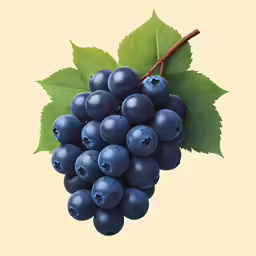 a cluster of blue grapes are displayed on a yellow background