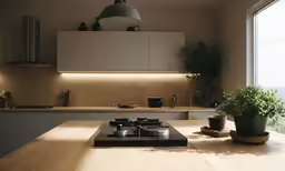 a kitchen with a window and potted plant sitting on the stove
