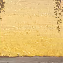 a lone bird sits on the curb near an object