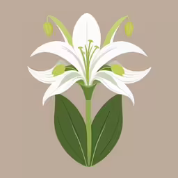 some white flowers with green leaves against a brown background,a graphic of a white flower with a leaf in the middle