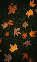 a bunch of fallen leaves laying on the grass