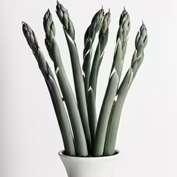 a vase with several green flowers inside of it