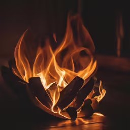 flames coming out of the wood and burning in it