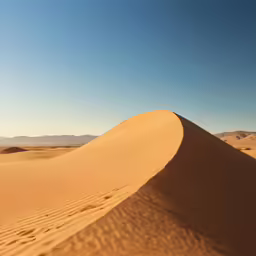 a person rides a small boat on a beach