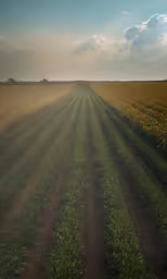 this is the sun peeking over an unpaved field