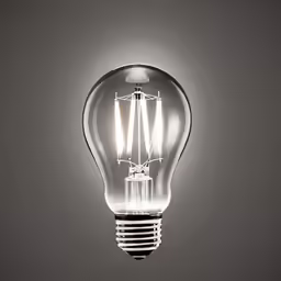 a light bulb has multiple sticks sticking out of it