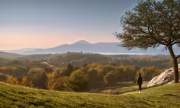 a lone person is looking at an overlook