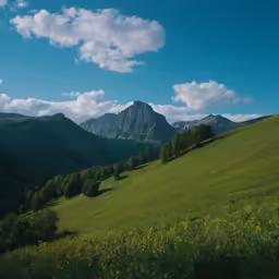 some hills are covered in grass and trees