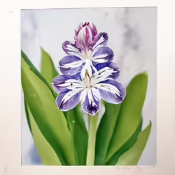 a picture of a purple flower on top of green leaves