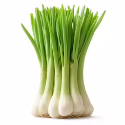a group of green onions stacked together on top of each other