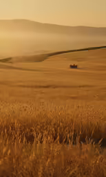 a tractor in a field with tall grass