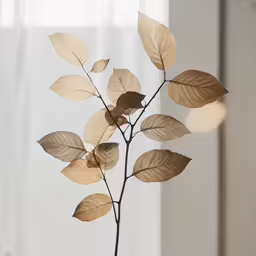 leaves are arranged on top of a wood stick