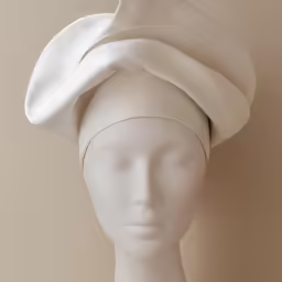 a wig is shown with white hair and a hat