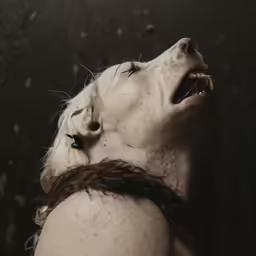 a woman with her head up in the air and an animal on the other side of her body