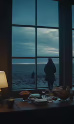 a person standing by a large window overlooking the ocean