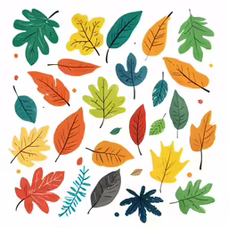 a drawing of different leaves and flowers