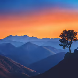 a silhouetted tree and some mountains at sunset