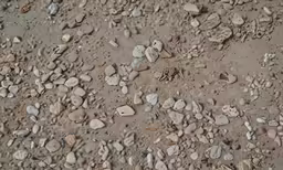 a bunch of rocks and gravel on the ground