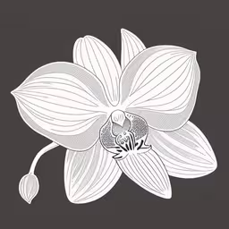 the drawing of the orchid is done using pencil and crayon pens,a drawing of a flower on a dark background