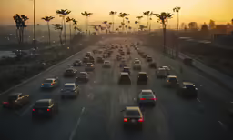 a bunch of cars driving down the road with palm trees