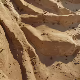 an elephant is walking in the dirt