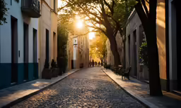 the sun is shining down on the street by buildings