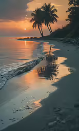 the sunrise shines on the tropical beach next to the ocean