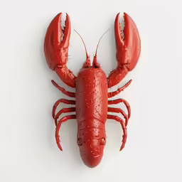 the large lobster is on a white surface