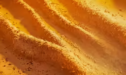 a yellow and brown abstract pattern of some kind of cloth