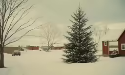 a snowy tree outside a red house on the snow covered ground