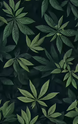 leaves with many leaves on them