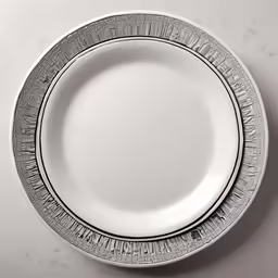 the plate is white with silver accents