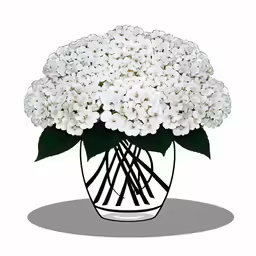 a white flower in a black vase on a gray ground