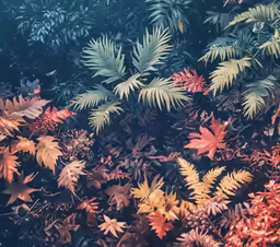 many different leaves are on top of each other