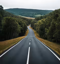 a road going through the trees and to nowhere