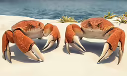 the legs of some red crabs in sand