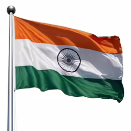 the indian flag with a silver pole sticking out
