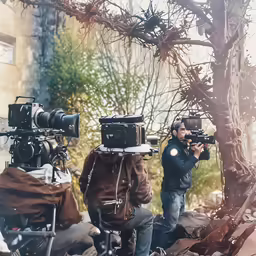 two people taking pictures of a tree in a city