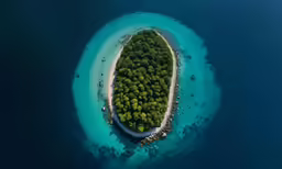 a small island with trees near the water