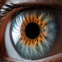 a close up image of a brown and white colored eye