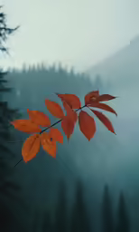 a branch with some red leaves and some trees