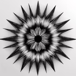 the center of a black and white image of a flower