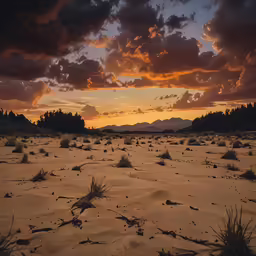 the sun setting in the desert with sparse grass
