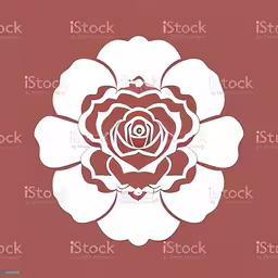 a red and white flower on a pink background,a red rose is cut out into a flower with white trim on a red background