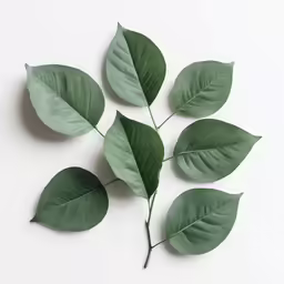 three leaf shaped shapes arranged next to each other