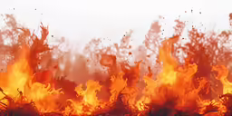 a close up of flames and smoke with many trees in the background