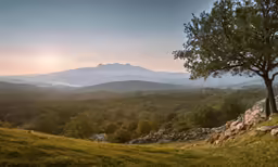 the sun is rising over the mountains in a forested area