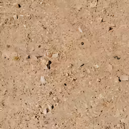 a bird is walking in the middle of the sand